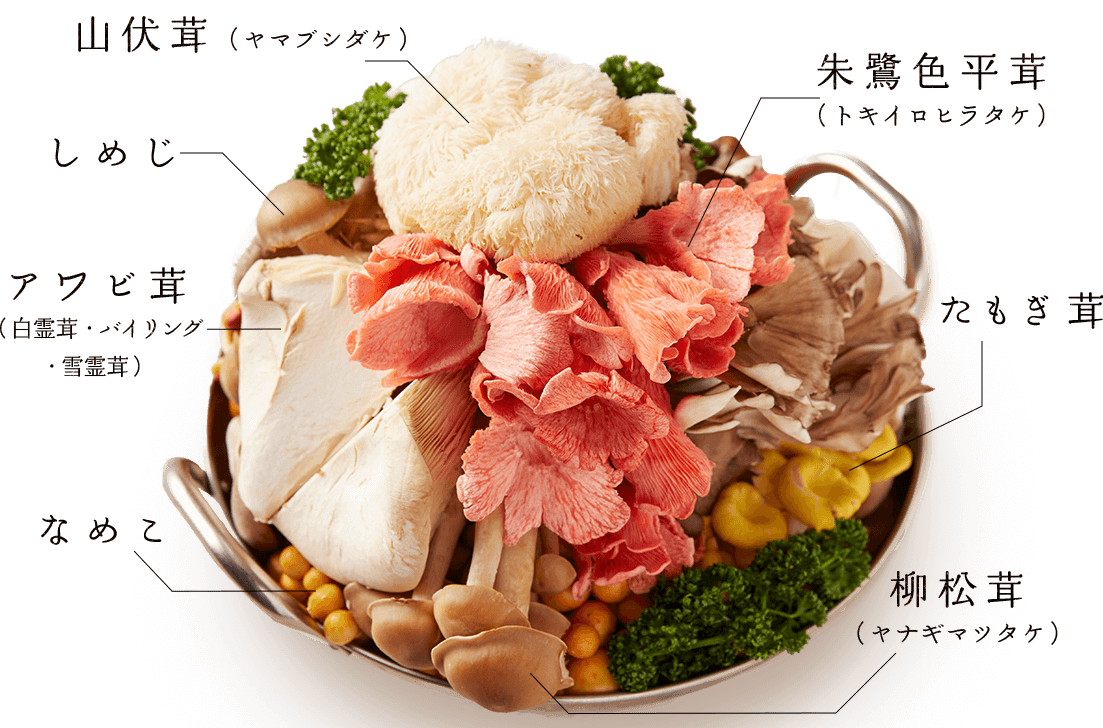 東京 東銀座で きのこ鍋 を満喫 8種類のきのこと清湯スープ