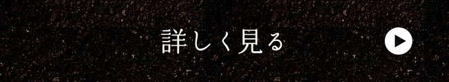 詳しく見る