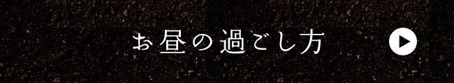 お昼の過ごし方